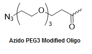 Bio-Synthesis Inc. Oligo Structure